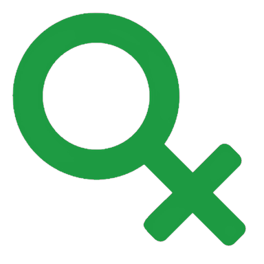 Search Icon